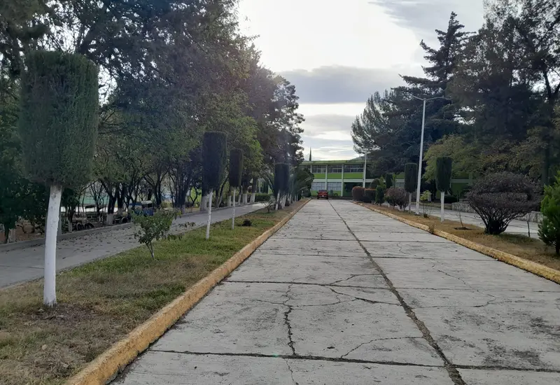 escuela-portada