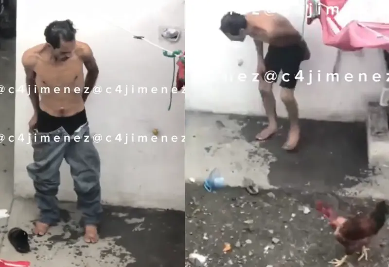 hombre_maltratado_desnudo_atado_gallinas