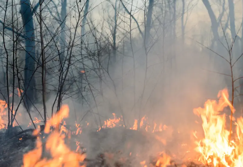 incendios-oaxaca