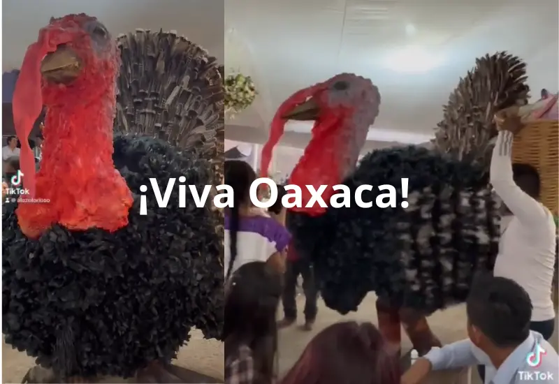bailan_pavo_gigante_bautizo_oaxaca