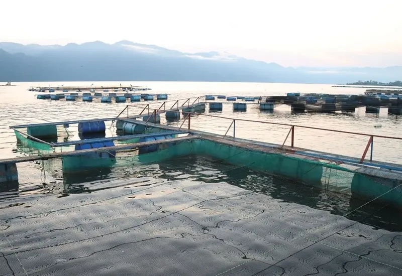 pesca-en-oaxaca