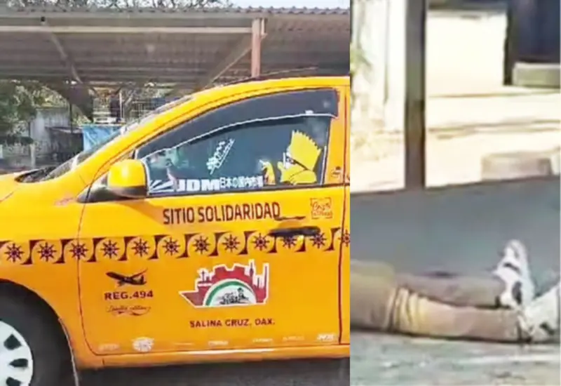 taxista-oaxaca