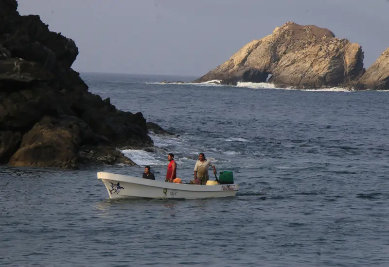 tsunami-oaxaca