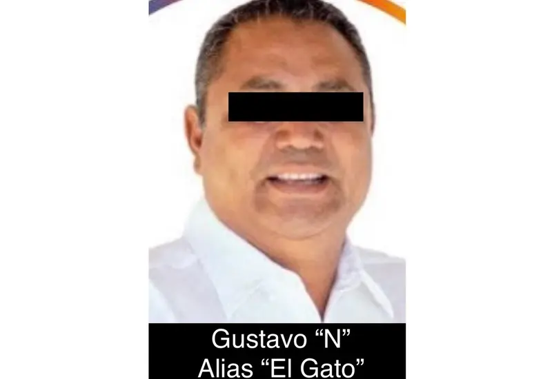 Gustavo-el-gato