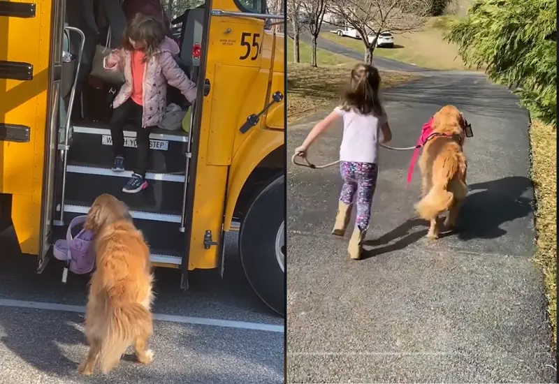 perrito_carga_mochila_a_niña