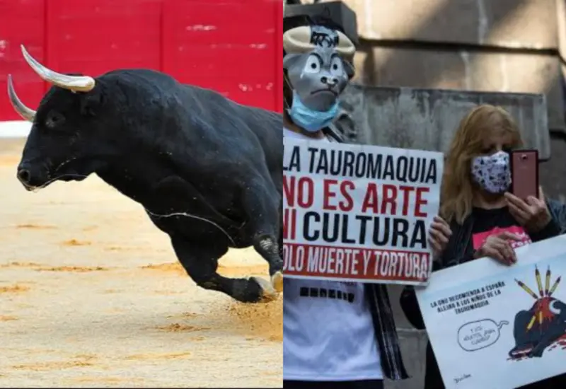 corridas-toro
