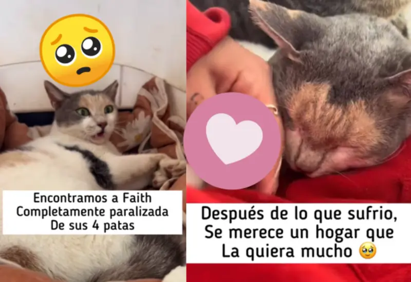 faith-portada