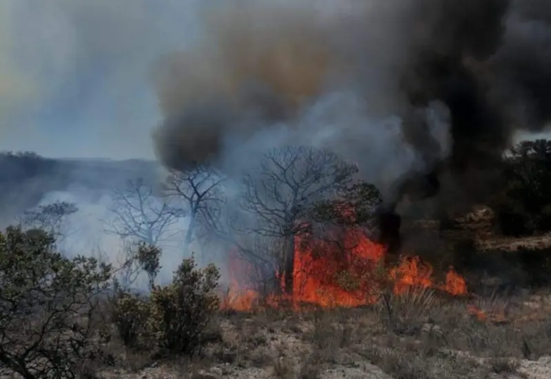 incendio-oaxaca