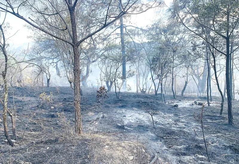 incendio-portada