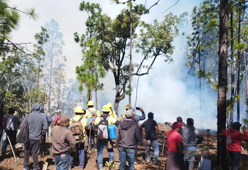 incendio_registrado_en_sierra_sur