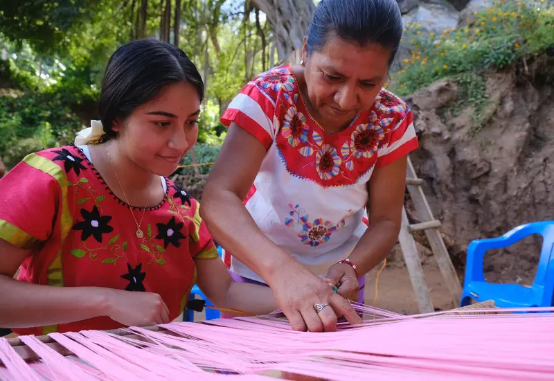 proyecto_sexenal_culturas_vivas_lenguas_artes