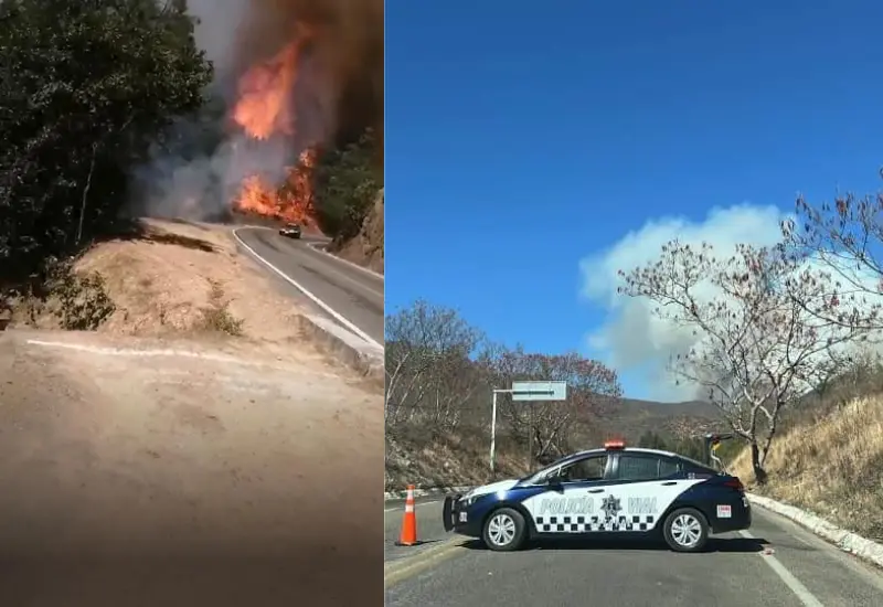 incendio_forestal_sierra_juarez_oaxaca