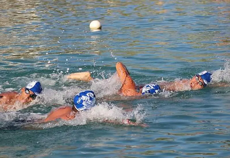 natacion-portada