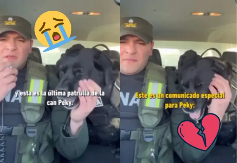 peky-portada