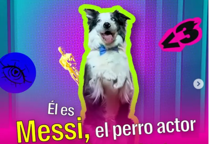 lomito_messi_conmociona_actuacion_cine