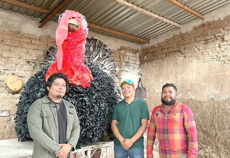 portada-pavo