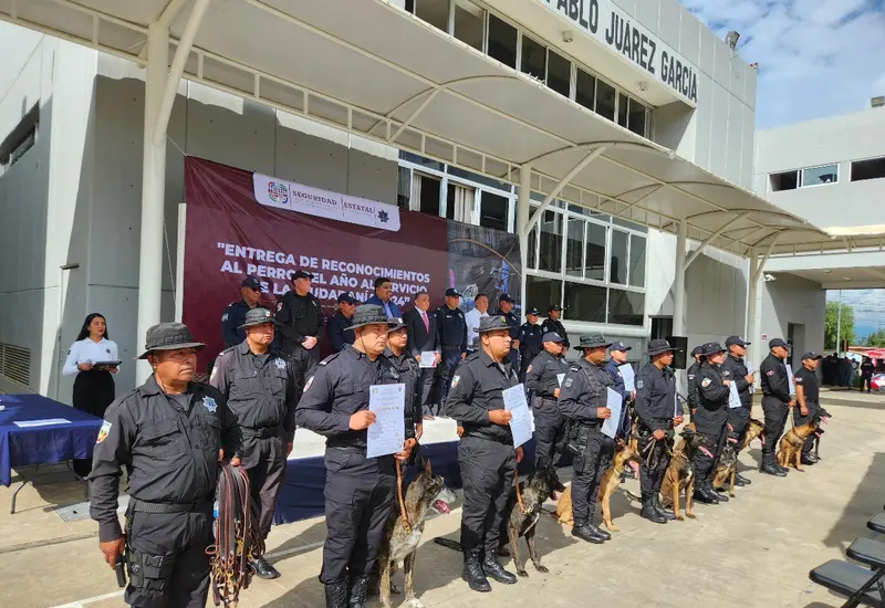 reconoce_sscp_labor_binomios_caninos 