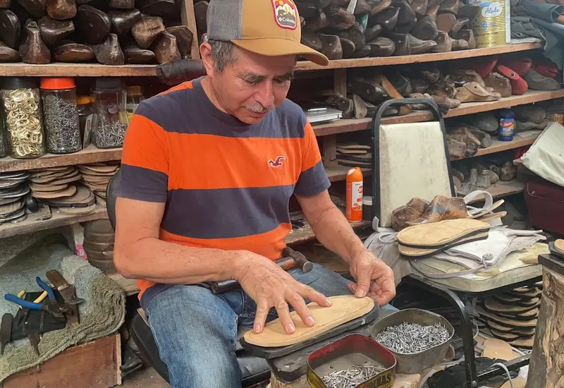 calzado
