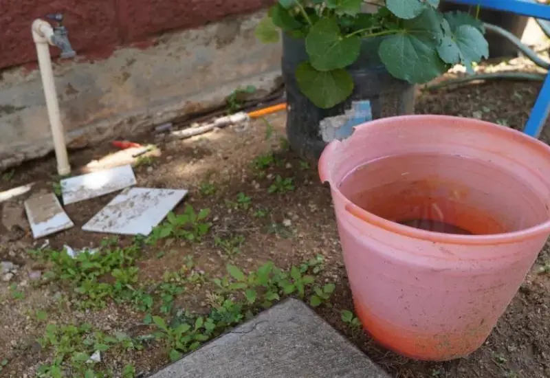 invita_soapa_cursos_niñez_cuidado_agua 