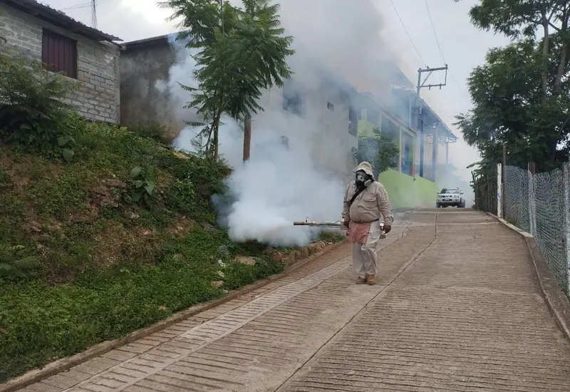 dengue