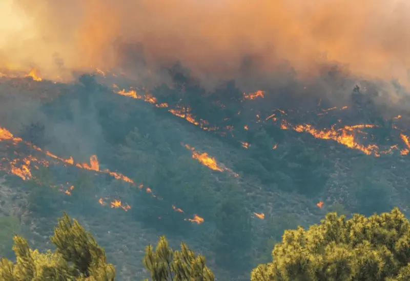incendios-oaxaca