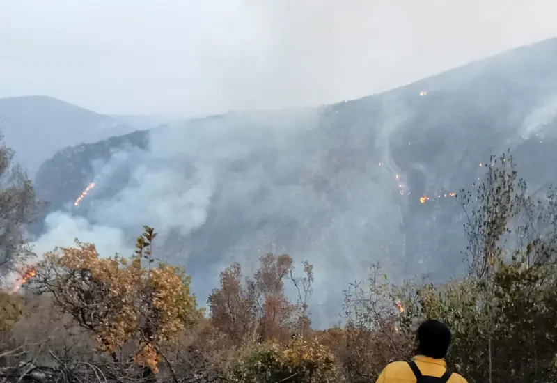 incendios-oaxaca