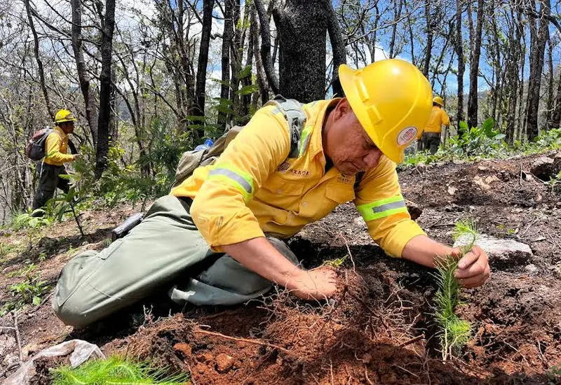 incendios