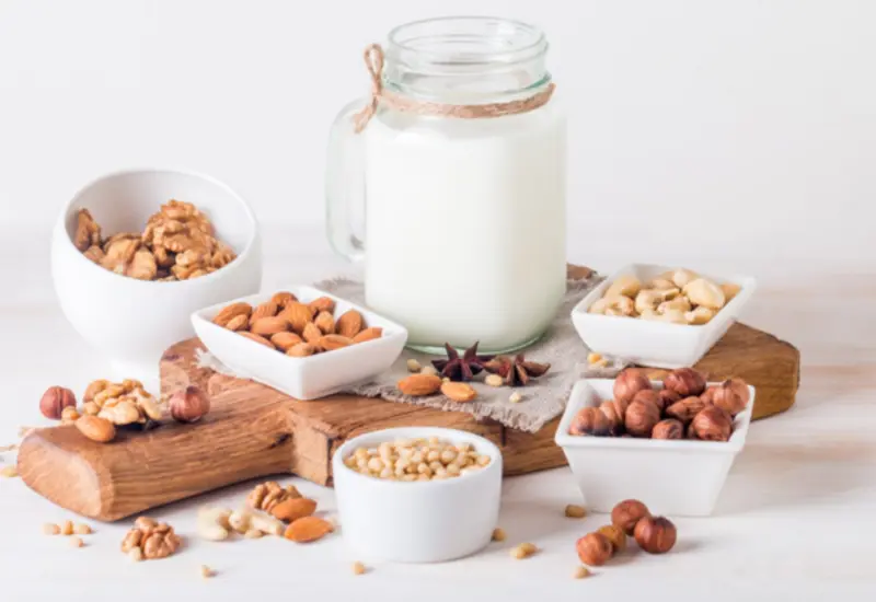 leche-vegetal