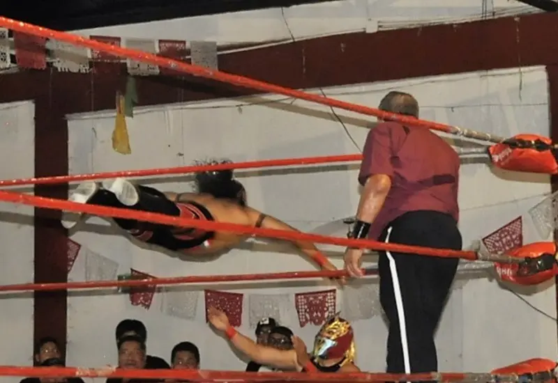 lucha-portada
