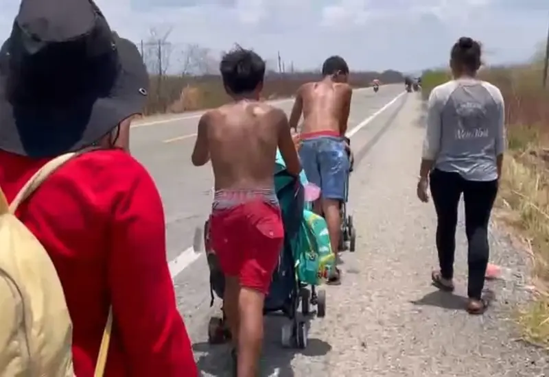 migrantes-portada
