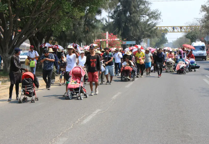migrantes