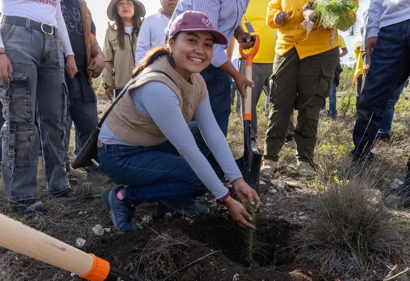plantar-arbol