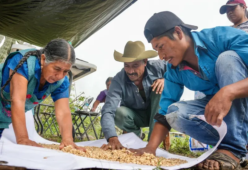 capacita_sefader_productores_maiz_taviche