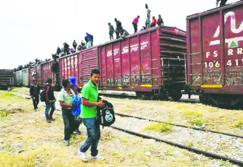 migrantes