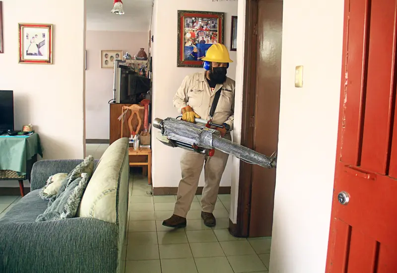 PRINCIPAL_3