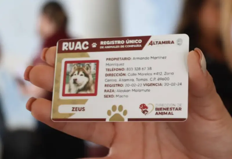 RUAC-portada