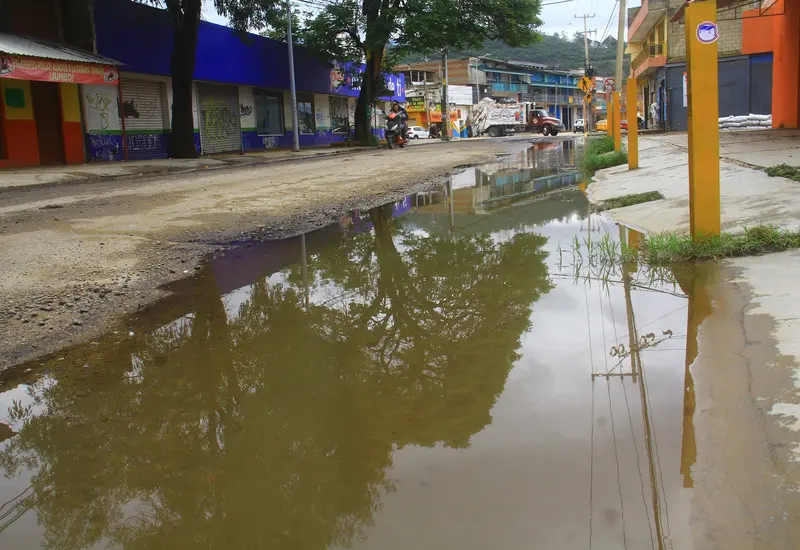 baches-portada
