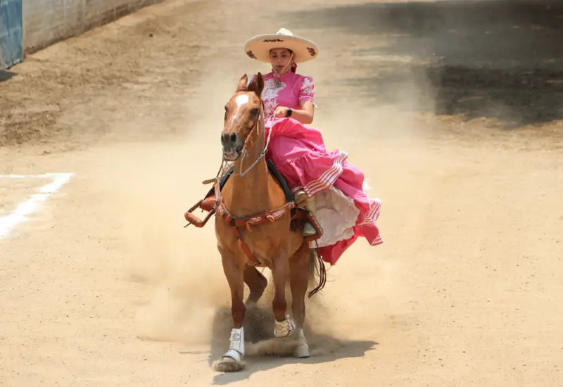caballo-portada