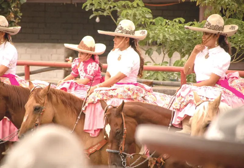 caballo-portada