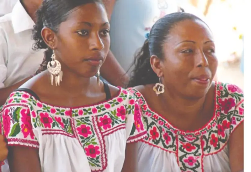 comunidad_negra_participacion_politica_huazolotitlan