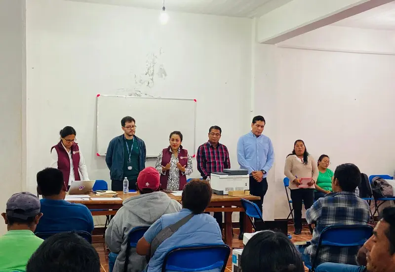 consulta_indigenas_afromexicanos_desplazamiento_forzado