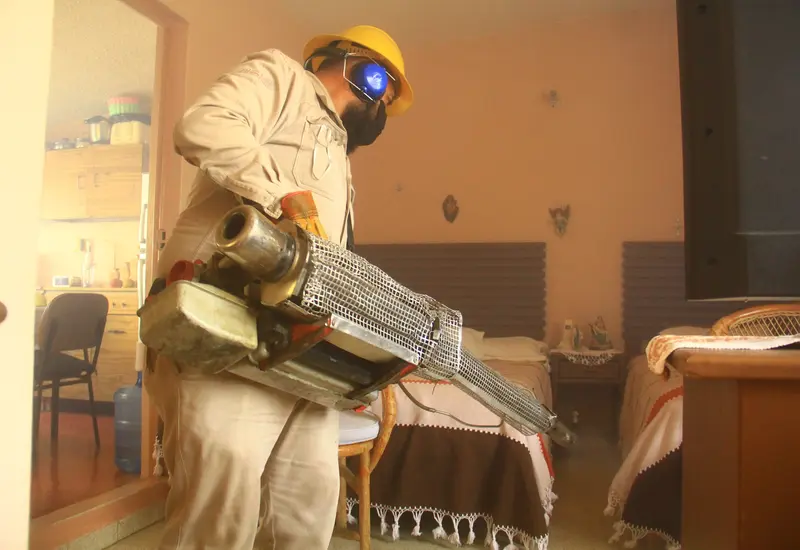 dengue-oaxaca