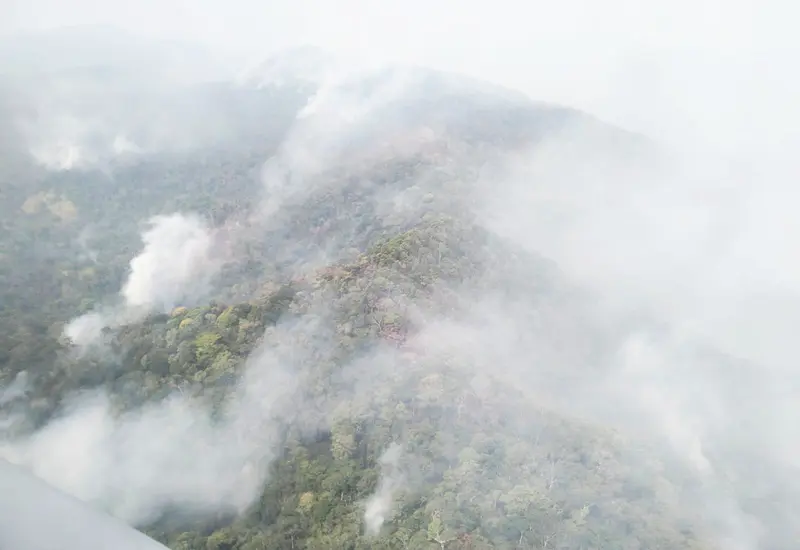 incendio-chimalapas