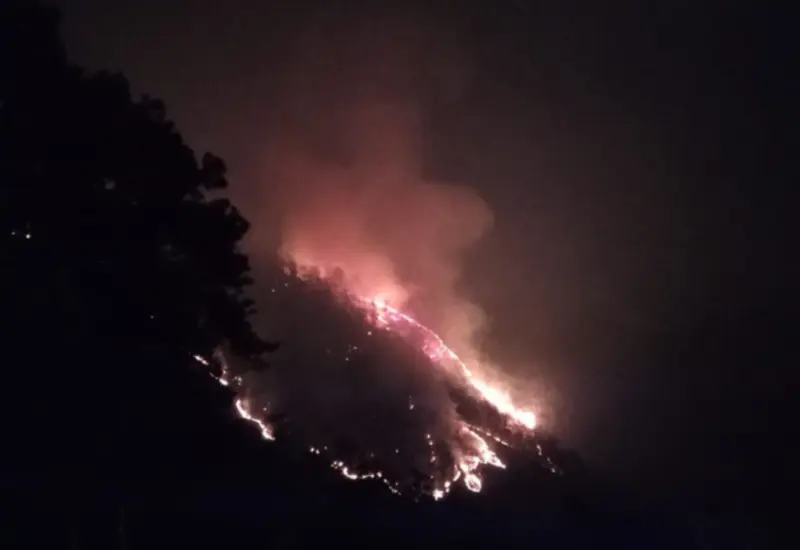 incendio-portada