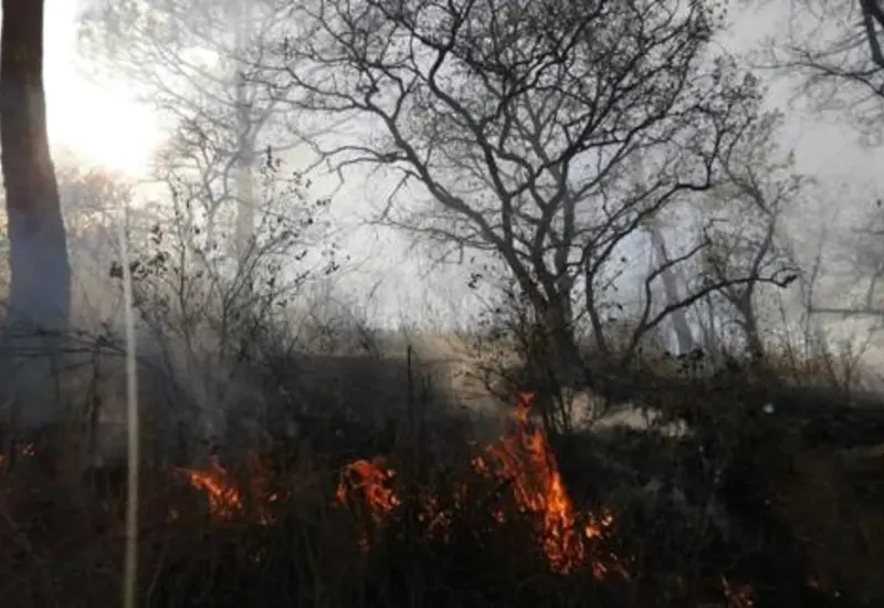 incendio-portada