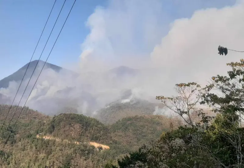 incendio-portada