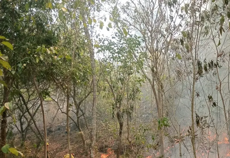 incendio-portada