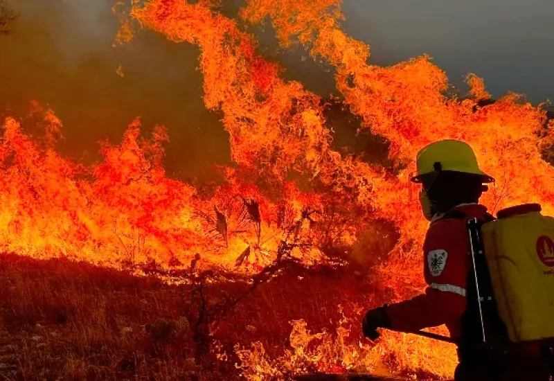 incendios-oaxaca_1