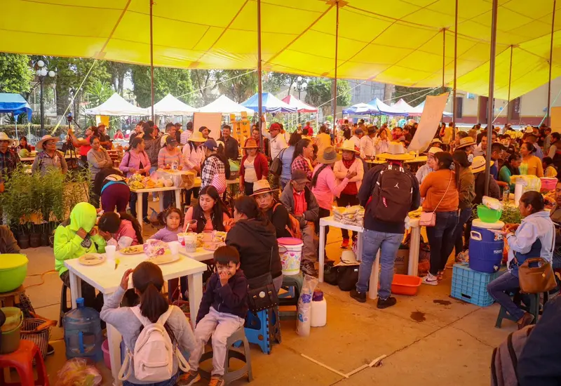 mercado-portada