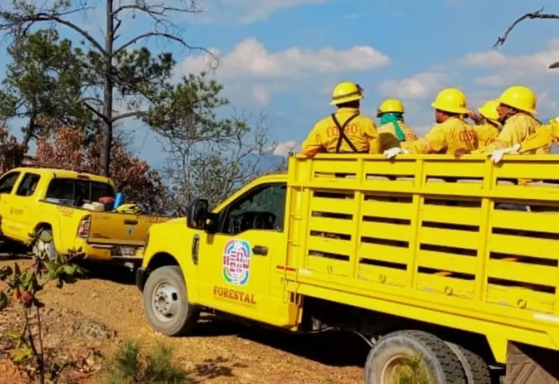 combaten_incendio_forestal_santiago_tilantongo